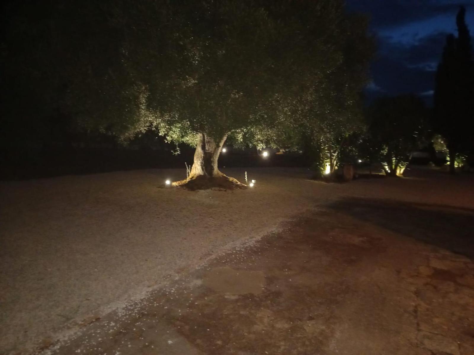 Vila Casina Tra Gli Ulivi Ostuni Exteriér fotografie